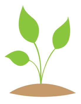 Web Hosting - Free Package