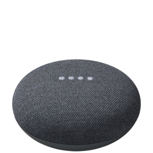 Google Nest Mini