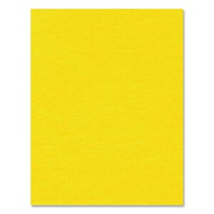 20217 BRISTOL BOARD 4PLY 22X28" YELLO