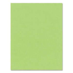 20224 BRISTOL BOARD 4PLY 22X28" GREEN