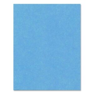 20228 BRISTOL BOARD 22"X28" SKYBL