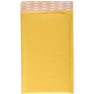 Bubble Envelope 8.5 x11