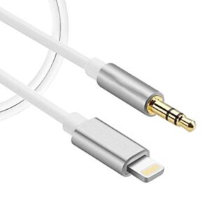 Lightning to Aux Cable 3ft