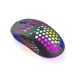 RGB Rechargeable Wireless Mouse
