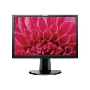 Lenovo 2452 LED Monitor