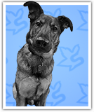 Max Schneider's Computing Staff