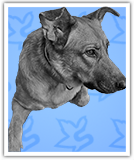 Molly Schneider's Computing Staff